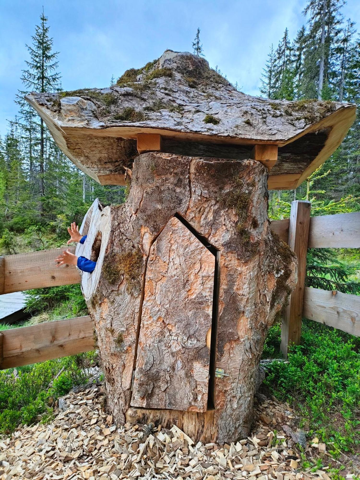 Haus Jakob Filzmoos Dış mekan fotoğraf